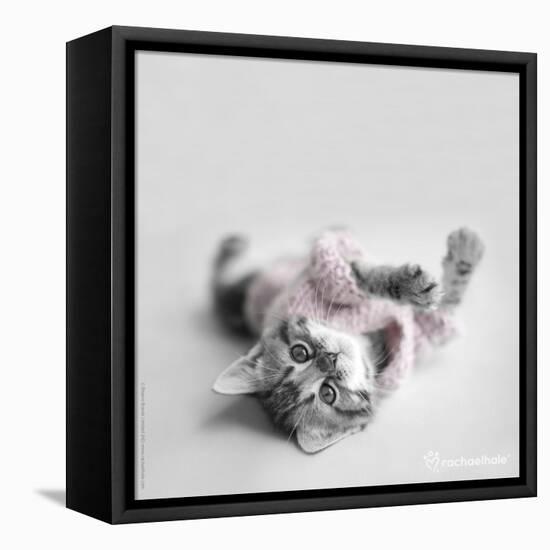 Polly-Rachael Hale-Framed Stretched Canvas