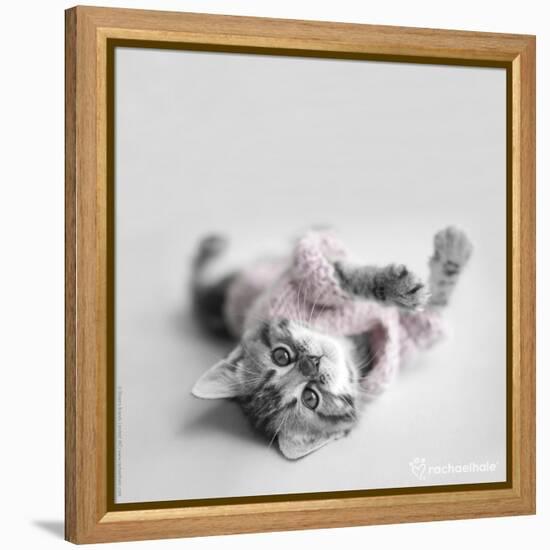 Polly-Rachael Hale-Framed Premier Image Canvas