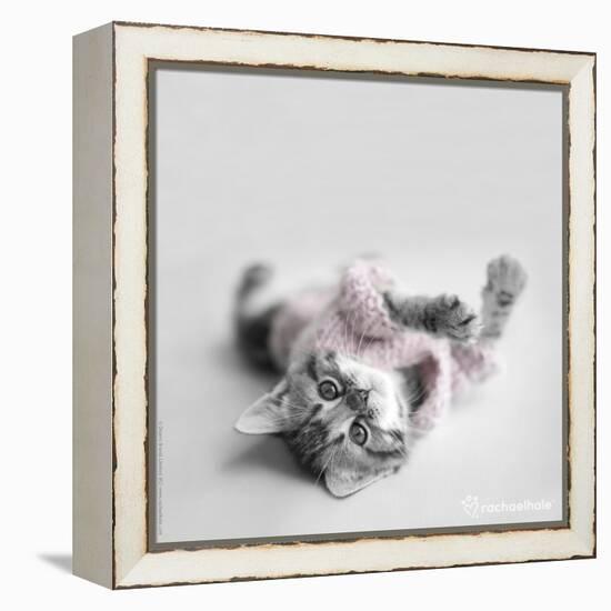 Polly-Rachael Hale-Framed Premier Image Canvas