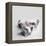 Polly-Rachael Hale-Framed Premier Image Canvas