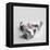 Polly-Rachael Hale-Framed Premier Image Canvas