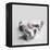 Polly-Rachael Hale-Framed Premier Image Canvas