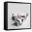 Polly-Rachael Hale-Framed Premier Image Canvas