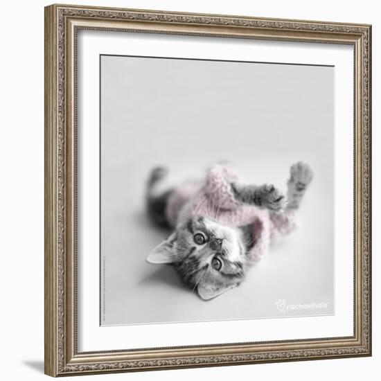 Polly-Rachael Hale-Framed Photographic Print