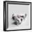 Polly-Rachael Hale-Framed Photographic Print