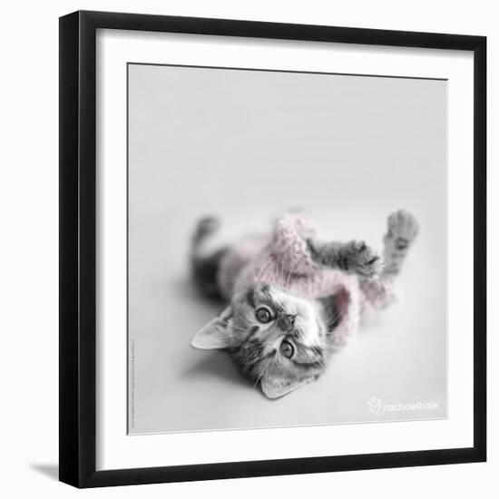 Polly-Rachael Hale-Framed Photographic Print