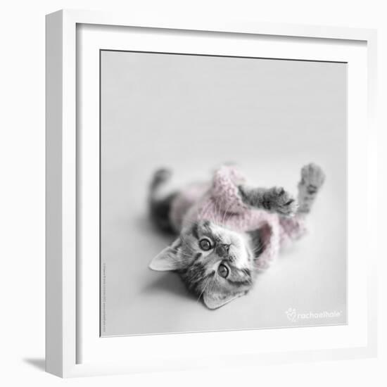 Polly-Rachael Hale-Framed Photographic Print