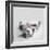 Polly-Rachael Hale-Framed Photographic Print