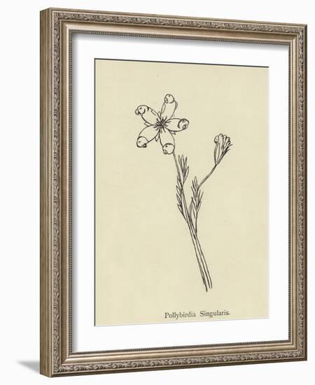 Pollybirdia Singularis-Edward Lear-Framed Giclee Print