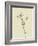 Pollybirdia Singularis-Edward Lear-Framed Giclee Print