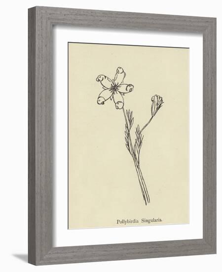 Pollybirdia Singularis-Edward Lear-Framed Giclee Print