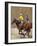 Polo Action-Jeri Ireland-Framed Art Print