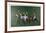 Polo Fields-Harry Schaare-Framed Limited Edition