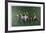 Polo Fields-Harry Schaare-Framed Limited Edition