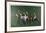 Polo Fields-Harry Schaare-Framed Limited Edition