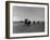 Polo Game in Progress at the Canlubang Sugarcane Plantation-Carl Mydans-Framed Photographic Print