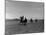 Polo Game in Progress at the Canlubang Sugarcane Plantation-Carl Mydans-Mounted Photographic Print