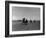 Polo Game in Progress at the Canlubang Sugarcane Plantation-Carl Mydans-Framed Photographic Print