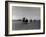 Polo Game in Progress at the Canlubang Sugarcane Plantation-Carl Mydans-Framed Photographic Print