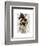 Polo Horse Portrait-Fab Funky-Framed Art Print