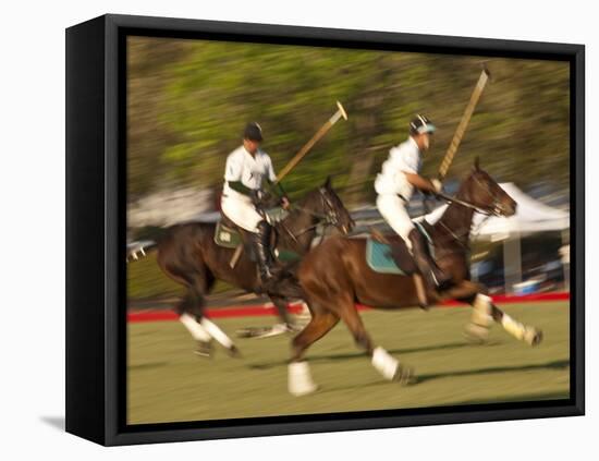 Polo, Houston, Texas, United States of America, North America-Michael DeFreitas-Framed Premier Image Canvas