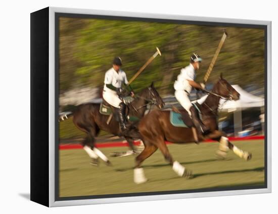 Polo, Houston, Texas, United States of America, North America-Michael DeFreitas-Framed Premier Image Canvas