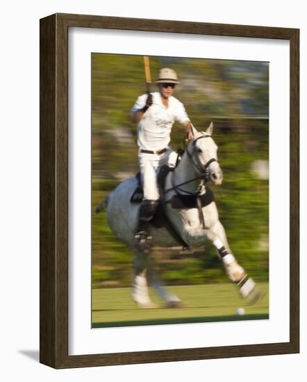 Polo, Houston, Texas, United States of America, North America-Michael DeFreitas-Framed Photographic Print