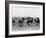 Polo Match-null-Framed Photo