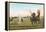 Polo Match-null-Framed Stretched Canvas