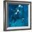 Polo Players - Blue-Neil Helyard-Framed Giclee Print