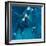 Polo Players - Blue-Neil Helyard-Framed Giclee Print