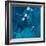 Polo Players - Blue-Neil Helyard-Framed Giclee Print