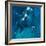 Polo Players - Blue-Neil Helyard-Framed Giclee Print