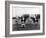 Polo Players in Andra Pradesh, South India-Raja Deen Dayal-Framed Photographic Print