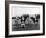 Polo Players in Andra Pradesh, South India-Raja Deen Dayal-Framed Photographic Print