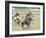 Polo Players in the Birthplace of Polo, Chitral, Pakistan, Asia-Upperhall Ltd-Framed Photographic Print