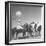 Polo Players Preparing for a Game at the Canlubang Country Club-Carl Mydans-Framed Photographic Print