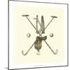 Polo Saddle-Vision Studio-Mounted Art Print