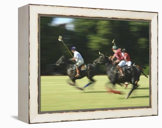 Polo-null-Framed Premier Image Canvas