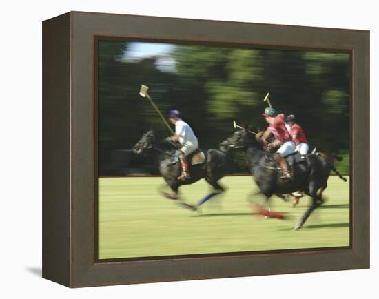 Polo-null-Framed Premier Image Canvas