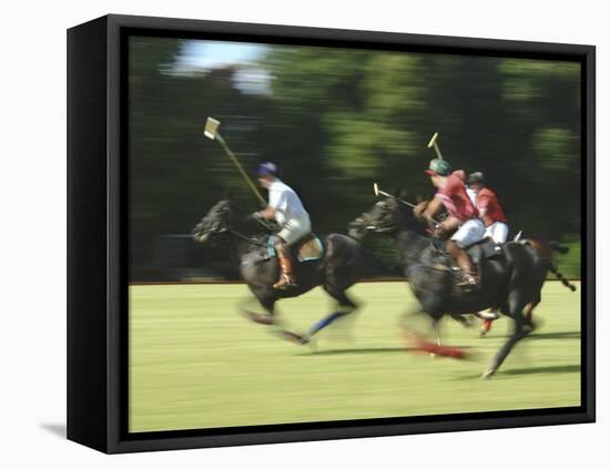 Polo-null-Framed Premier Image Canvas