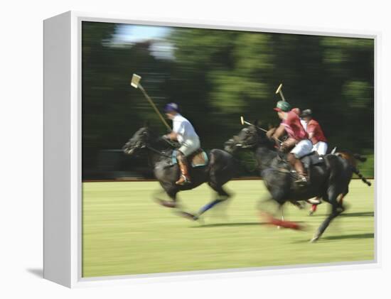 Polo-null-Framed Premier Image Canvas