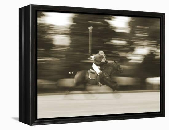 Polo-null-Framed Premier Image Canvas