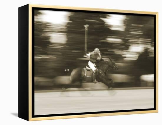 Polo-null-Framed Premier Image Canvas