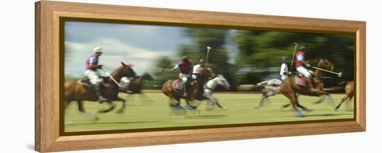 Polo-null-Framed Premier Image Canvas