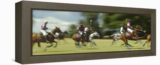 Polo-null-Framed Premier Image Canvas