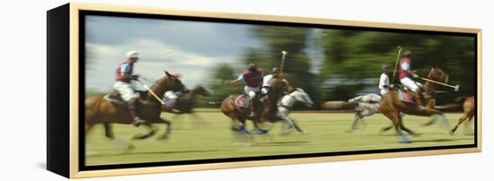 Polo-null-Framed Premier Image Canvas