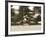 Polo-null-Framed Photographic Print