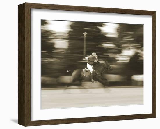 Polo-null-Framed Photographic Print