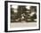 Polo-null-Framed Photographic Print